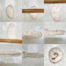 쌀베이킹 및 홈베이킹 이미지