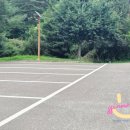 소나무숲아래 | 충주 :) 소나무숲아래 평상 대여 내돈내산 이용 후기/여름 아이와 가볼만한 계곡 추천, 자리팁 공유