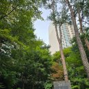1번가공인중개사사무소 | 분당 생활권! 죽전 새터마을 힐스테이트 아파트 시세를 중심으로 최근 매매, 전세, 월세 흐름 살펴보기