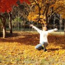 도문자작 이미지