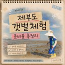 통통아놀자 | 아이와 갯벌 체험 처음이라면? 제부도 가족 여행 현실 후기