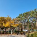 서호꽃뫼(2) 이미지