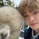 성찬목장 이미지