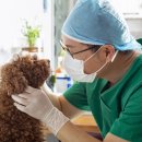 위즈동물병원 이미지