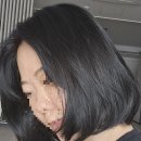 (주)콘디코리아 | 무실리콘 친환경 샴푸 '콘디 마유미솝' 린스 없이도 부드러워요