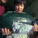 완호세탁소 네이버블로그
