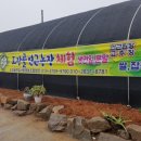 도장골농장 이미지