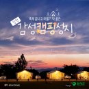 블루베리관광농원 베리굿 오토캠핑장 | 새로운 하룻밤을 선물하는 감성 가득, 함평 캠핑장 추천