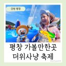 그늘막49 | 평창더위사냥축제 실제방문후기 8월 강원도 평창 가볼만한곳 축제정보 땀띠축제