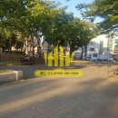 건재공인중개사사무소 이미지