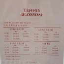 테니스블라썸 이미지