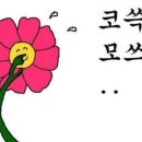 만성찬팅 이미지