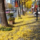 큰승주약국 이미지