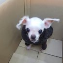 와동체육공원 이미지