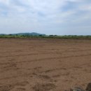 상모리-9 이미지