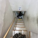 목포밴댕이 이미지