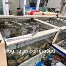 광일수산 네이버블로그