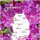 개화 이미지