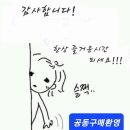 엘이디마스터조명