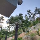 슬로우 남해 이미지