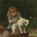 강아지는내친구 이미지