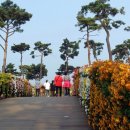 (주)무지개팜 이미지