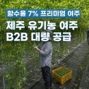 농업회사법인 주식회사 청정식품 | 제주 유기농 여주 B2B 원료 : 함수율 7% 규격화 슬라이스와 1,100평 수급 인프라의 가치