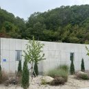 보스케토 삼동 이미지