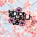 경희대신봉태권도