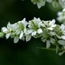 그늘과 빛의 기억  이미지