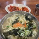 총각손칼국수 티스토리
