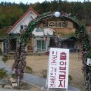 철수네집