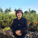 매일공인중개사사무소 이미지