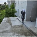 스페셜클린 네이버블로그