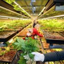 삼은경로당 이미지