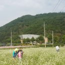 북천초등학교대야분교장 이미지