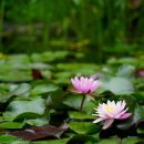 사이언스 미니어처 이미지