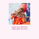 서해안마트 | 제철 알배기 활 쭈꾸미 택배, 서해안 산지직송 솔직 후기 (ft. 쭈꾸미볶음 레시피)