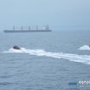 동해-단속-28 이미지