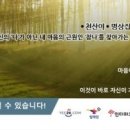 강남해안로 네이버블로그