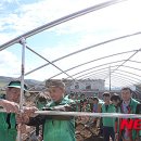 비닐하우스 - 영등포구 도림로128가길 13-8 | 비닐하우스