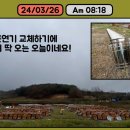 야생양봉원 이미지