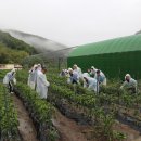 ㈜명 건축사사무소 이미지