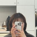 네일바이율 네이버블로그