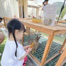 학교가자캠핑장 | 명절연휴가족나들이추천 아이와가기좋은 서울근교 당일치기 양주르캠핑장