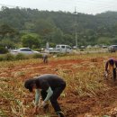 초평면사무소 이미지