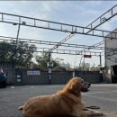 카리스마 디팩토리 덕이점 이미지