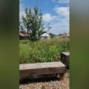 상하하늘목장 이미지