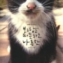 우산쓴고양이 이미지
