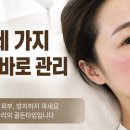 도도스킨앤바디